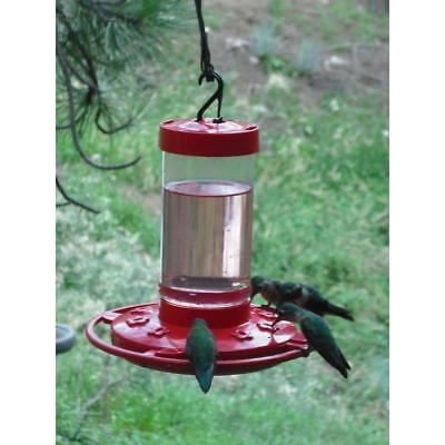 First Nature 16 Oz Hummingbird Feeder, #3051, Made In Usa     #dm